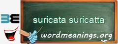 WordMeaning blackboard for suricata suricatta